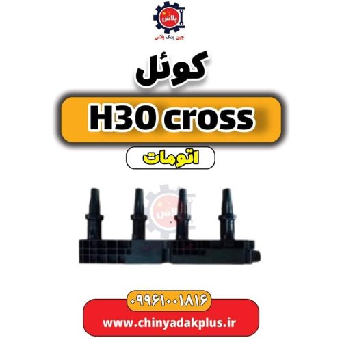 کوئل جرقه دانگ‌فنگ H30 کراس